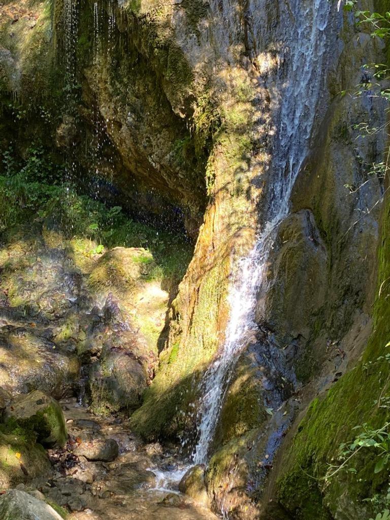 Cabana Pestera Bolii Petroşani Exteriör bild
