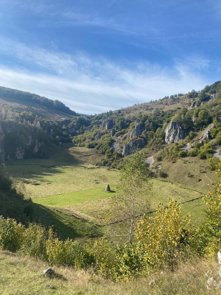 Cabana Pestera Bolii Petroşani Exteriör bild