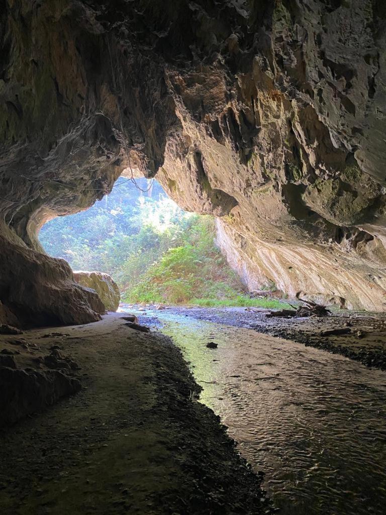 Cabana Pestera Bolii Petroşani Exteriör bild