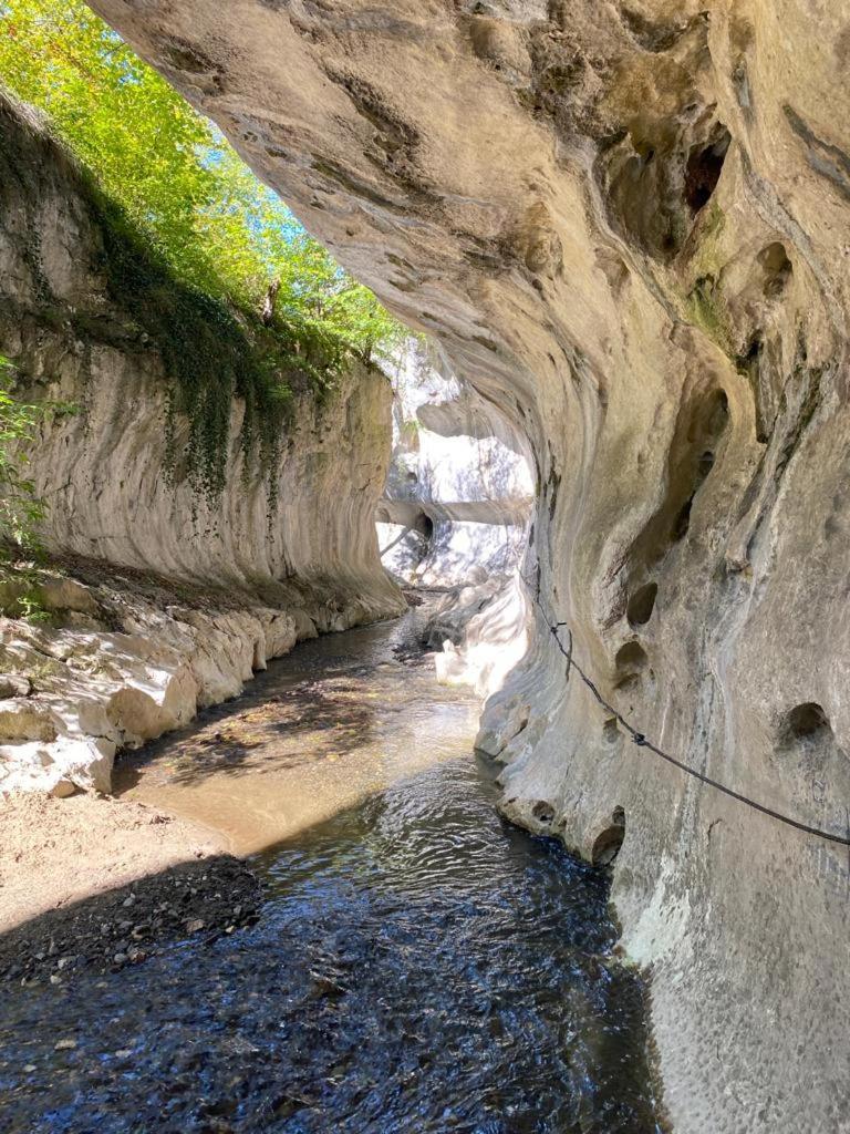 Cabana Pestera Bolii Petroşani Exteriör bild