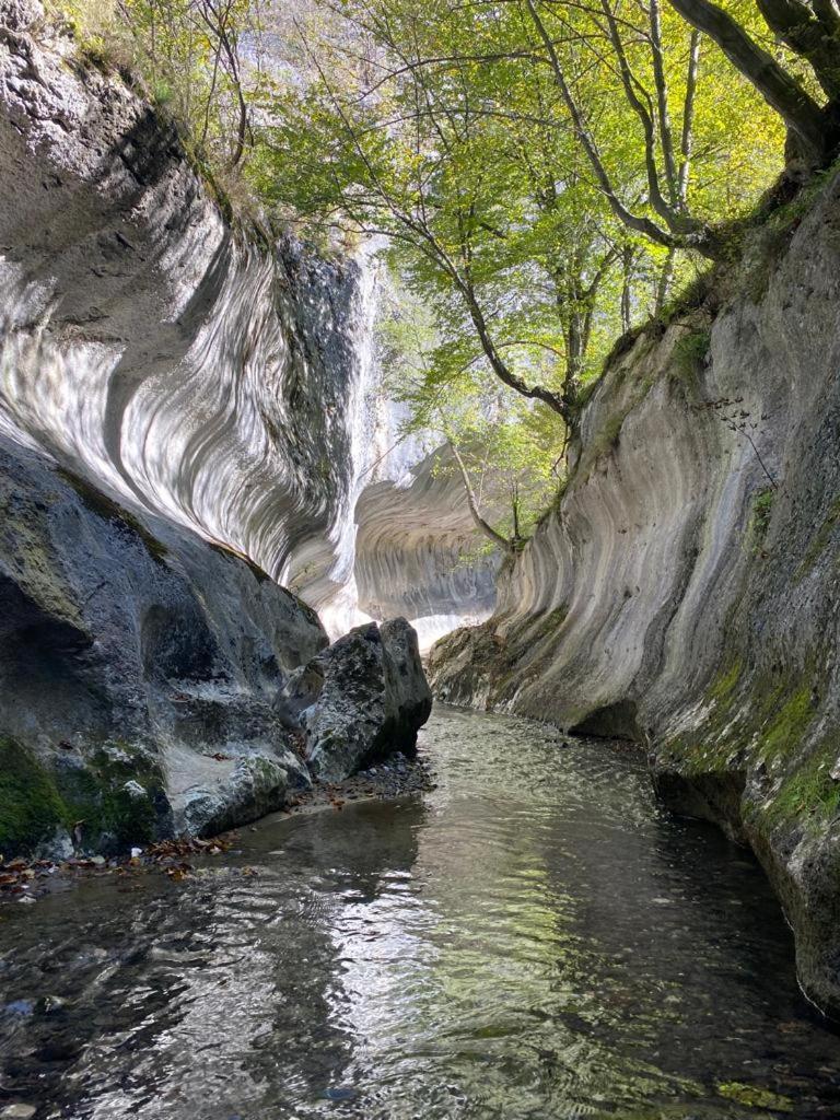 Cabana Pestera Bolii Petroşani Exteriör bild