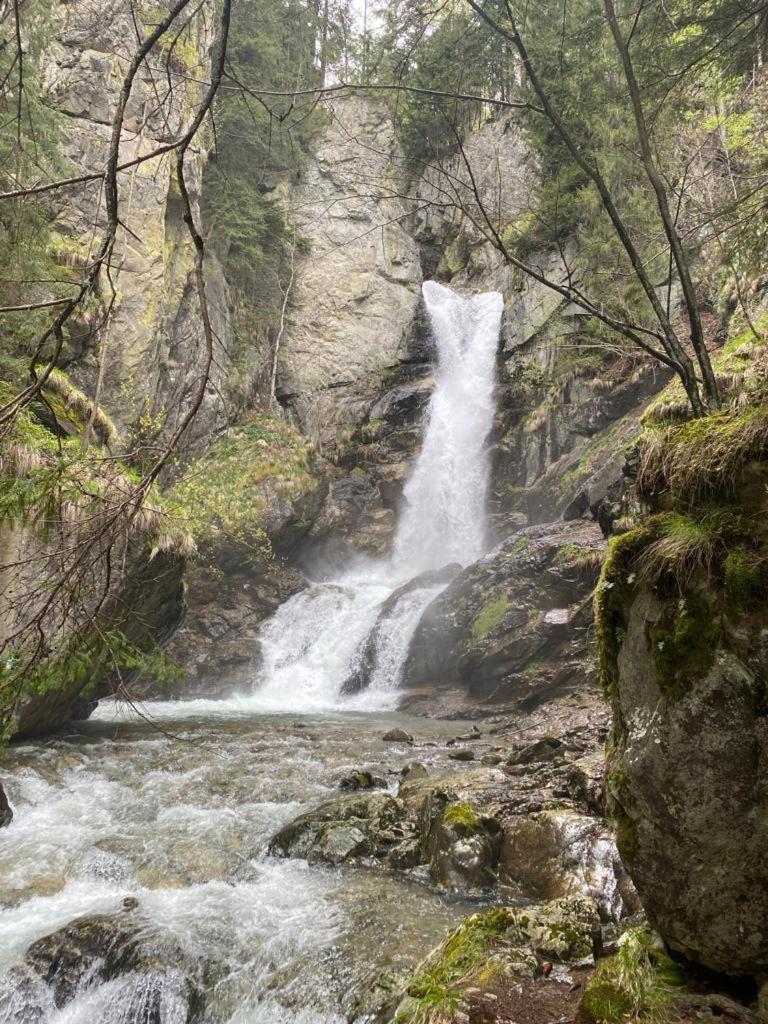 Cabana Pestera Bolii Petroşani Exteriör bild